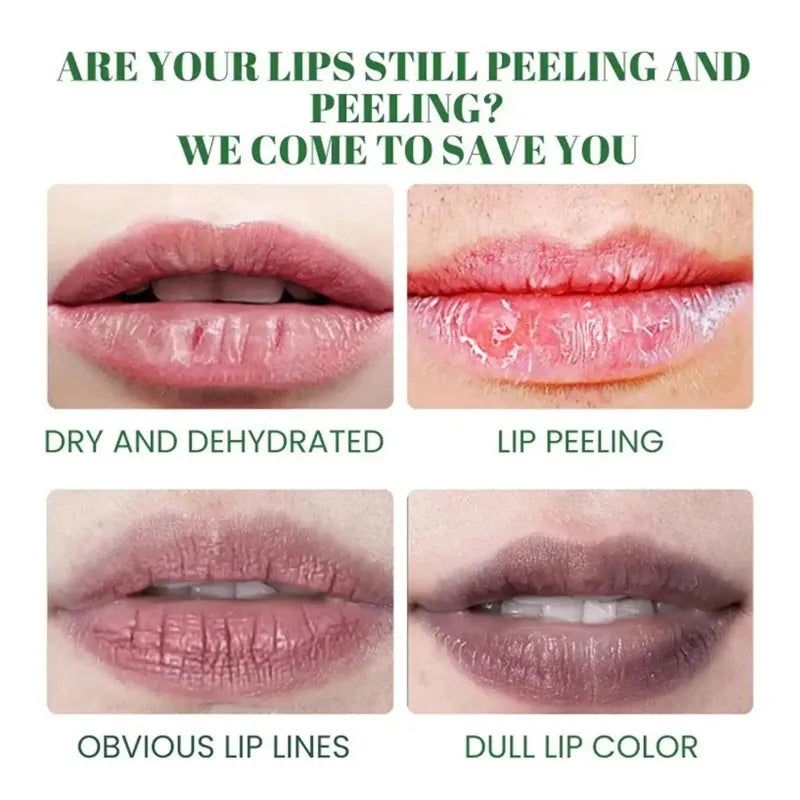 Fruit Lip Balm Set
