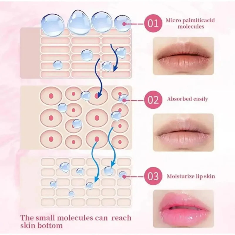 Fruit Lip Balm Set
